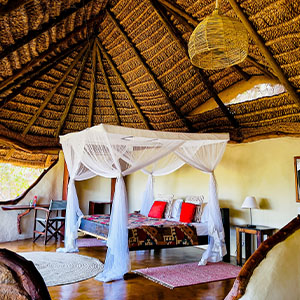 300x300MicatoSafariroom