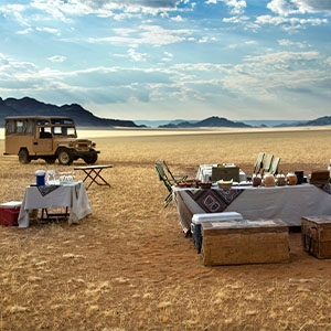 300x300africansafarisand