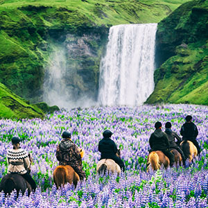 300x300groupadventurehorse